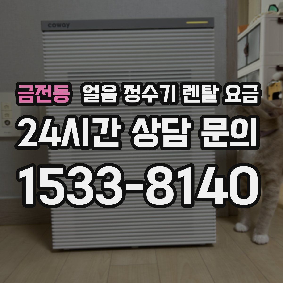 금전동 얼음 정수기 렌탈 요금