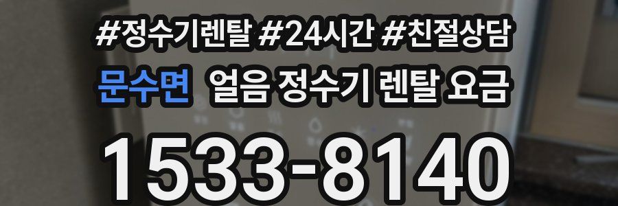 문수면 얼음 정수기 렌탈 요금
