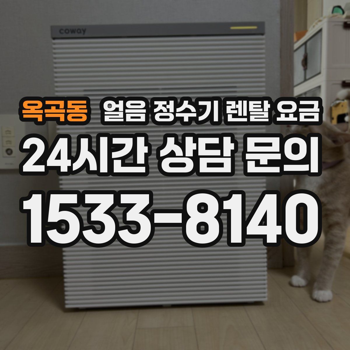 옥곡동 얼음 정수기 렌탈 요금