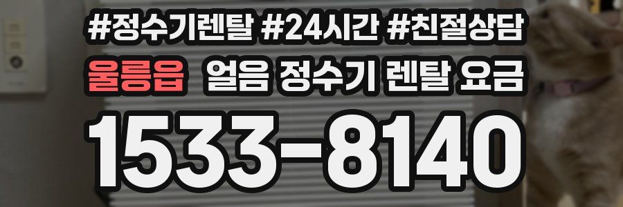 울릉읍 얼음 정수기 렌탈 요금