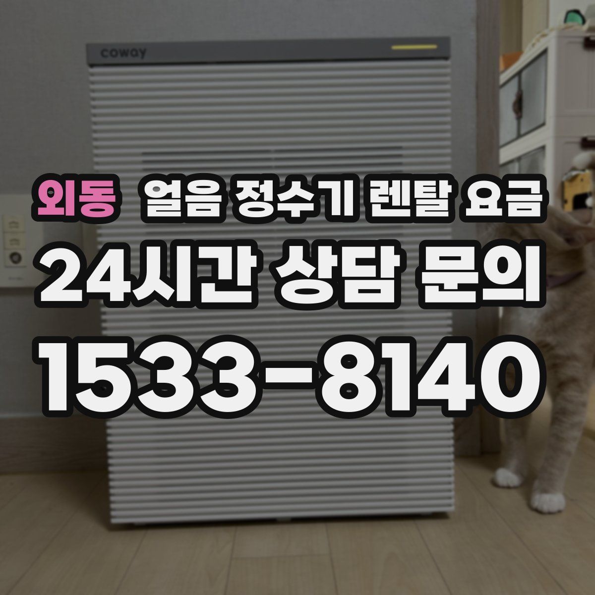 외동 얼음 정수기 렌탈 요금