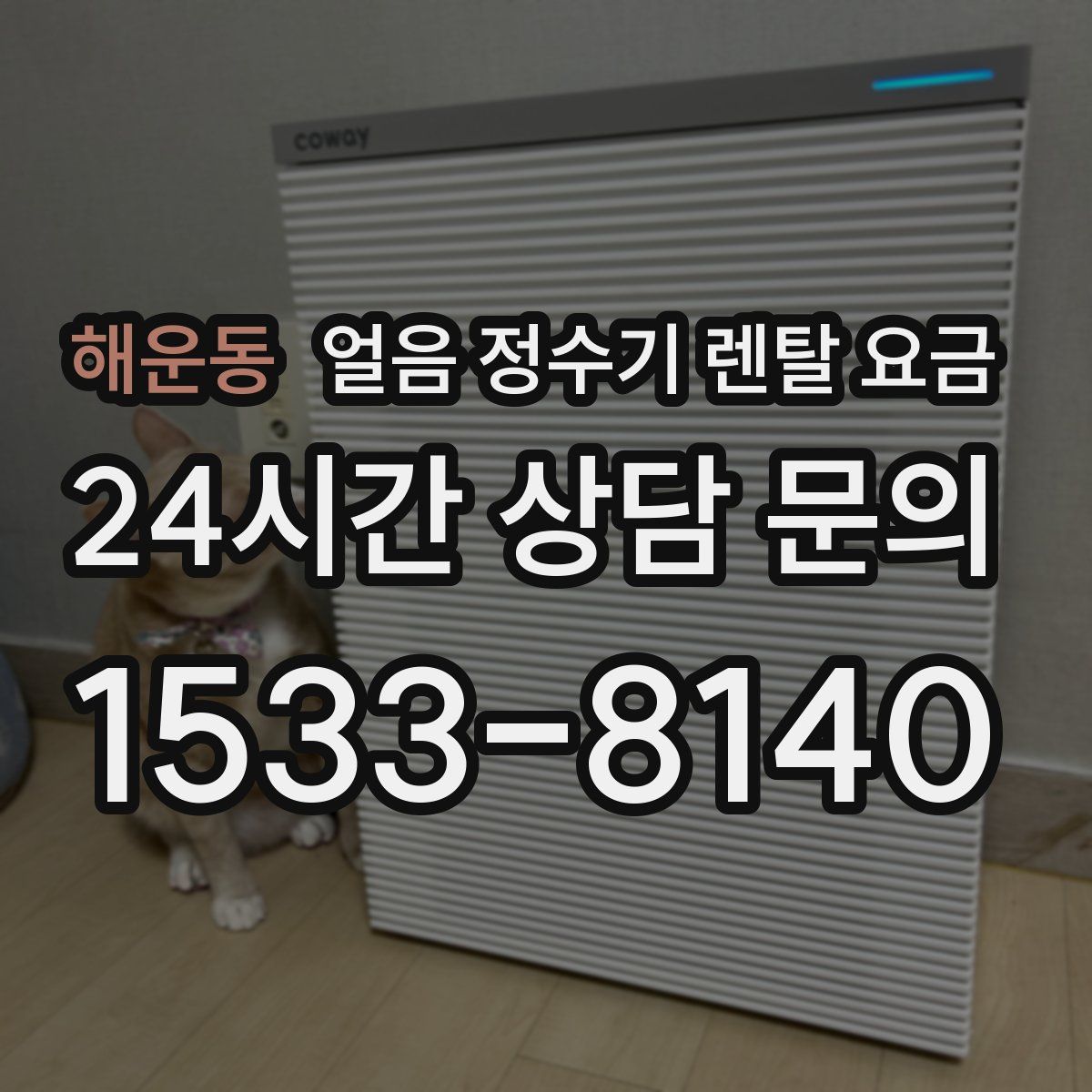 해운동 얼음 정수기 렌탈 요금