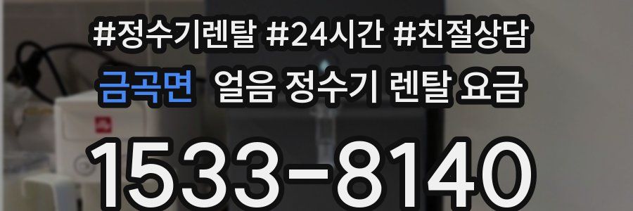 금곡면 얼음 정수기 렌탈 요금