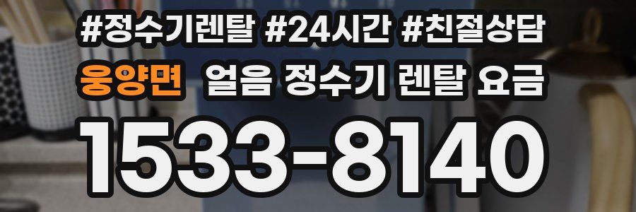 웅양면 얼음 정수기 렌탈 요금