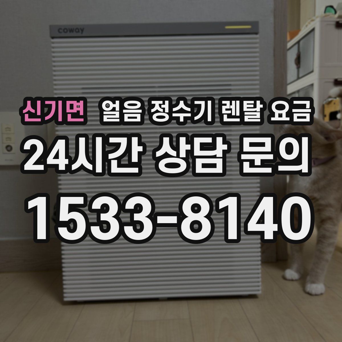 신기면 얼음 정수기 렌탈 요금