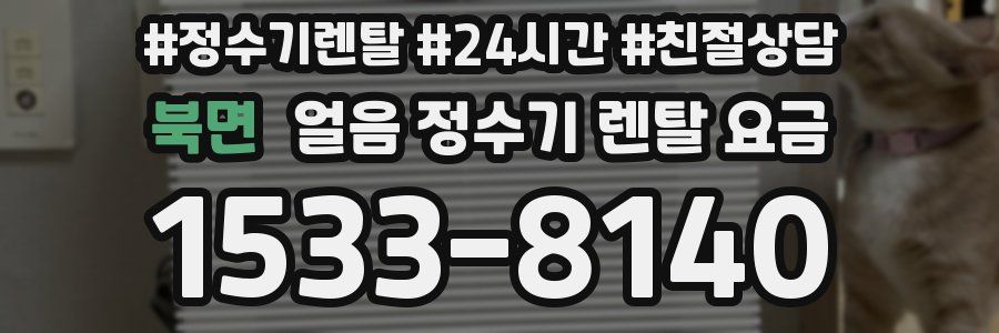 북면 얼음 정수기 렌탈 요금