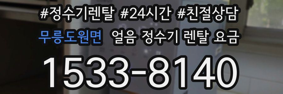 무릉도원면 얼음 정수기 렌탈 요금