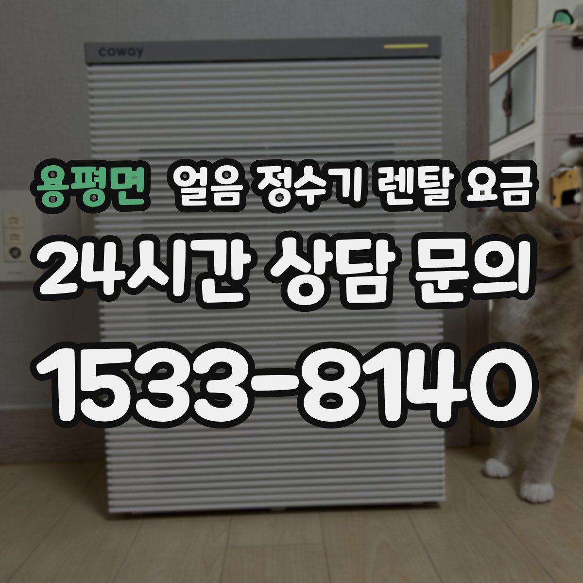 용평면 얼음 정수기 렌탈 요금