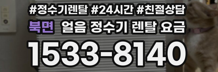 북면 얼음 정수기 렌탈 요금