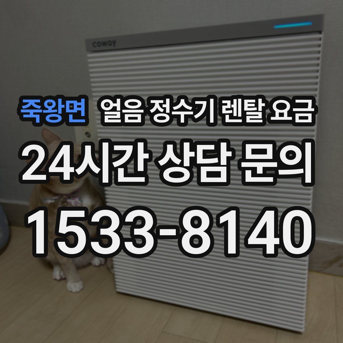 죽왕면 얼음 정수기 렌탈 요금 할인보다 중요한 계약 조건