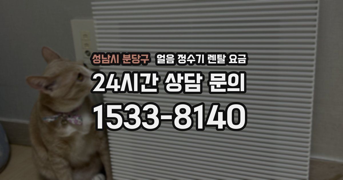 성남시 분당구 얼음 정수기 렌탈 요금