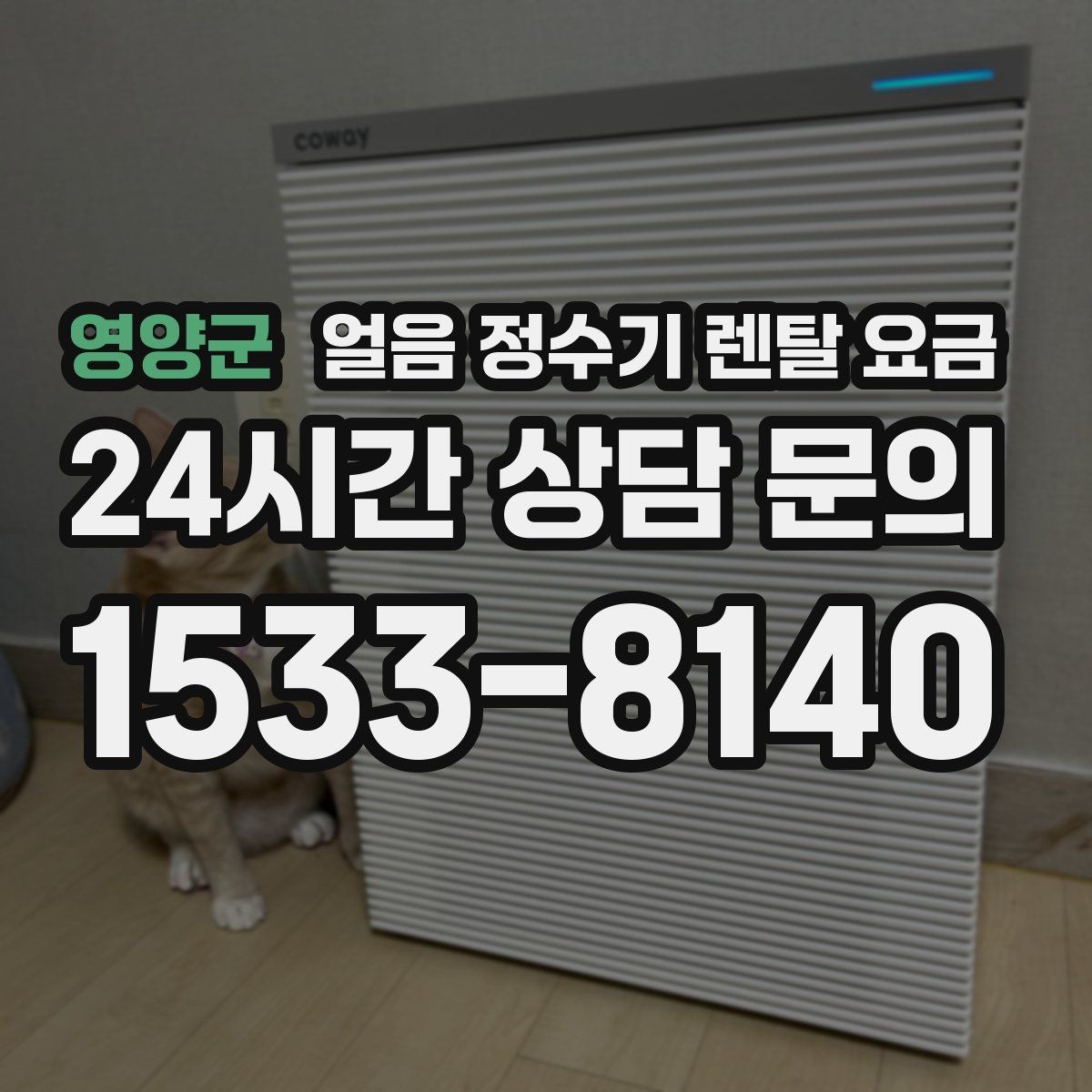 영양군 얼음 정수기 렌탈 요금 계약서에서 놓치기 쉬운 항목