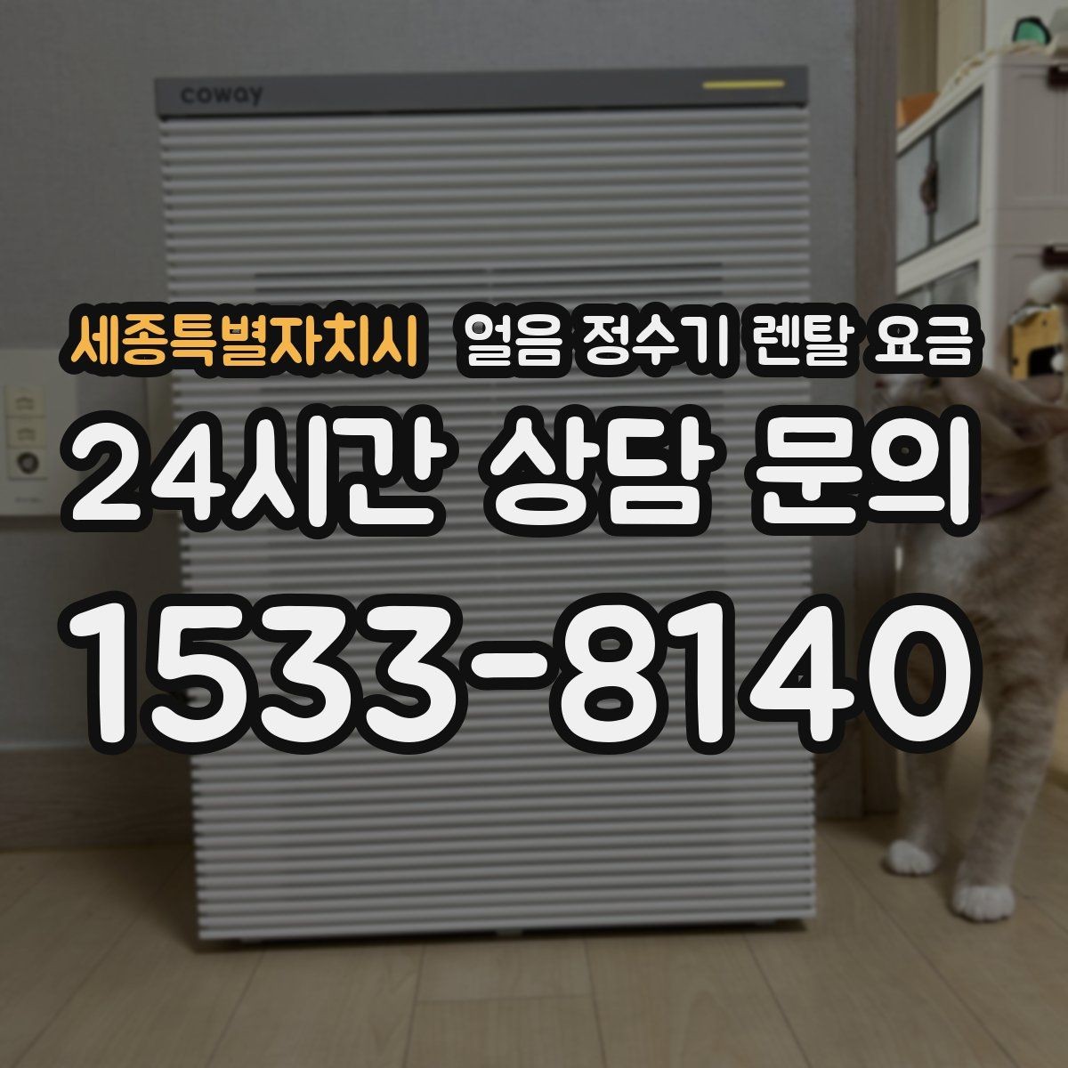 세종특별자치시 얼음 정수기 렌탈 요금 기능별 요금 차이를 이해하는 방법