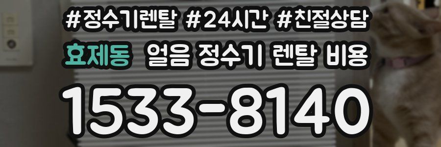 효제동 얼음 정수기 렌탈 비용