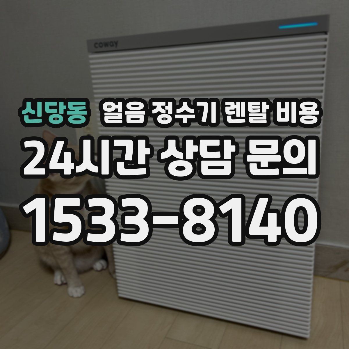 신당동 얼음 정수기 렌탈 비용 1인 가구에도 필요한지 판단하는 방법