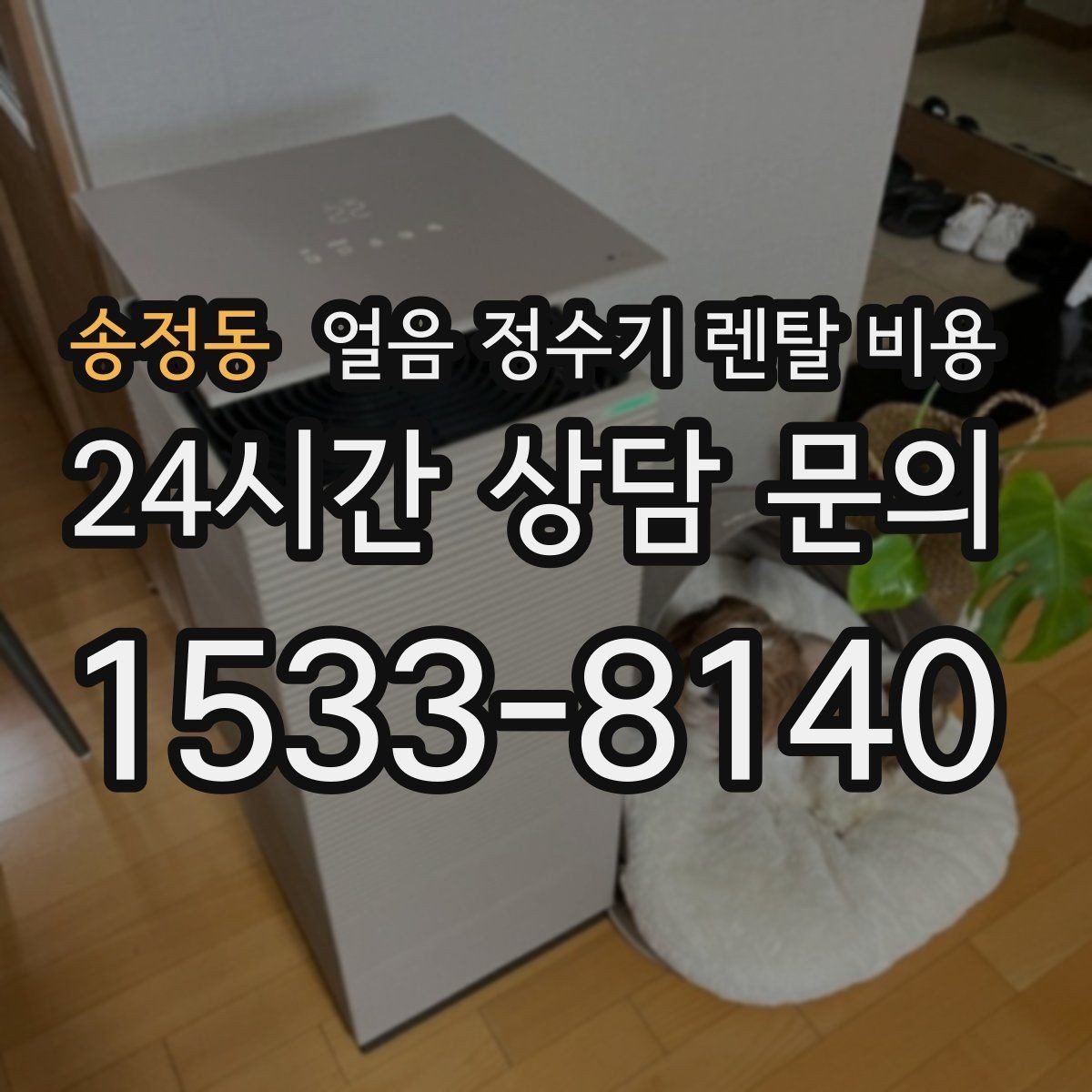 송정동 얼음 정수기 렌탈 비용 자가관리형과 방문관리형 차이