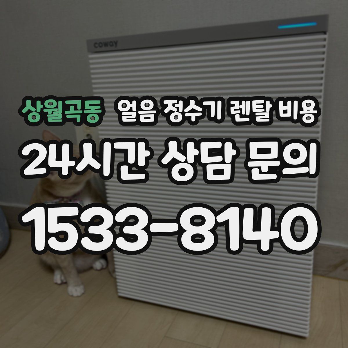 상월곡동 얼음 정수기 렌탈 비용