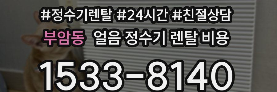 부암동 얼음 정수기 렌탈 비용