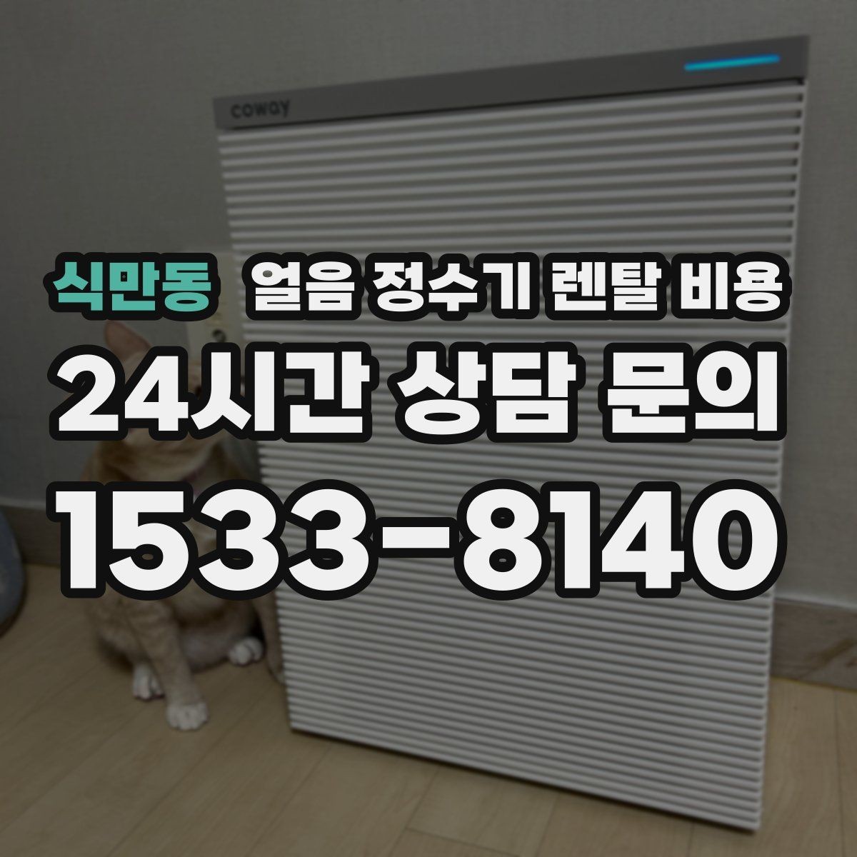 식만동 얼음 정수기 렌탈 비용 AS 서비스 품질이 중요한 이유