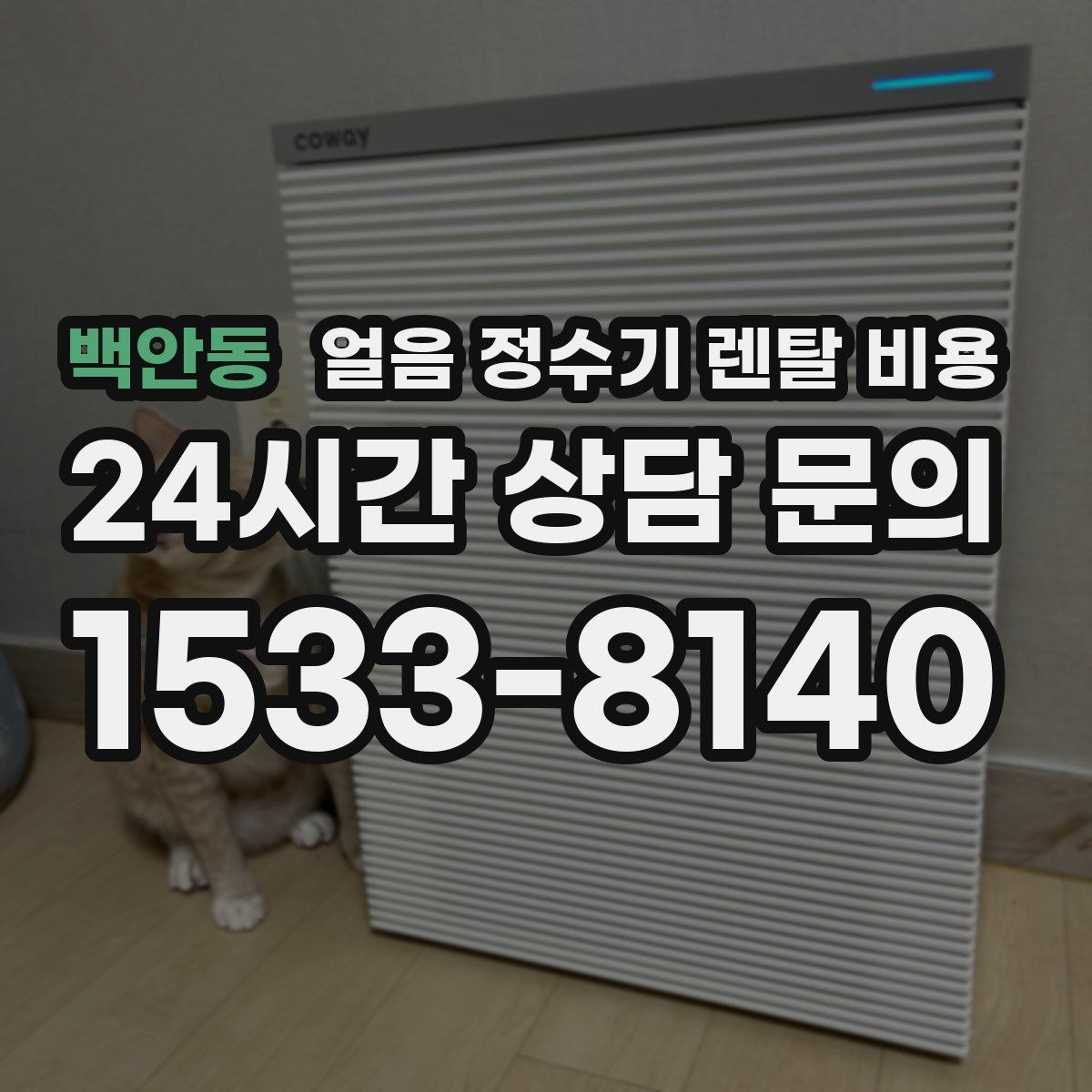 백안동 얼음 정수기 렌탈 비용