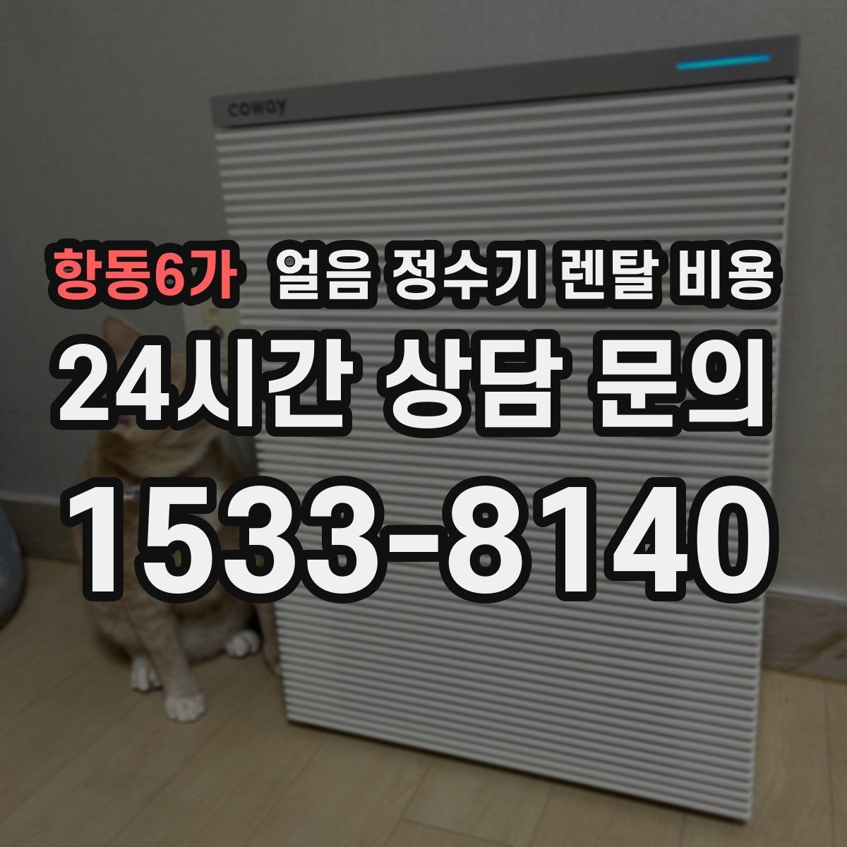 항동6가 얼음 정수기 렌탈 비용 업소용 제품 선택 시 기준 정리