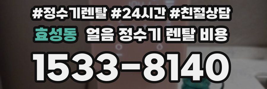 효성동 얼음 정수기 렌탈 비용