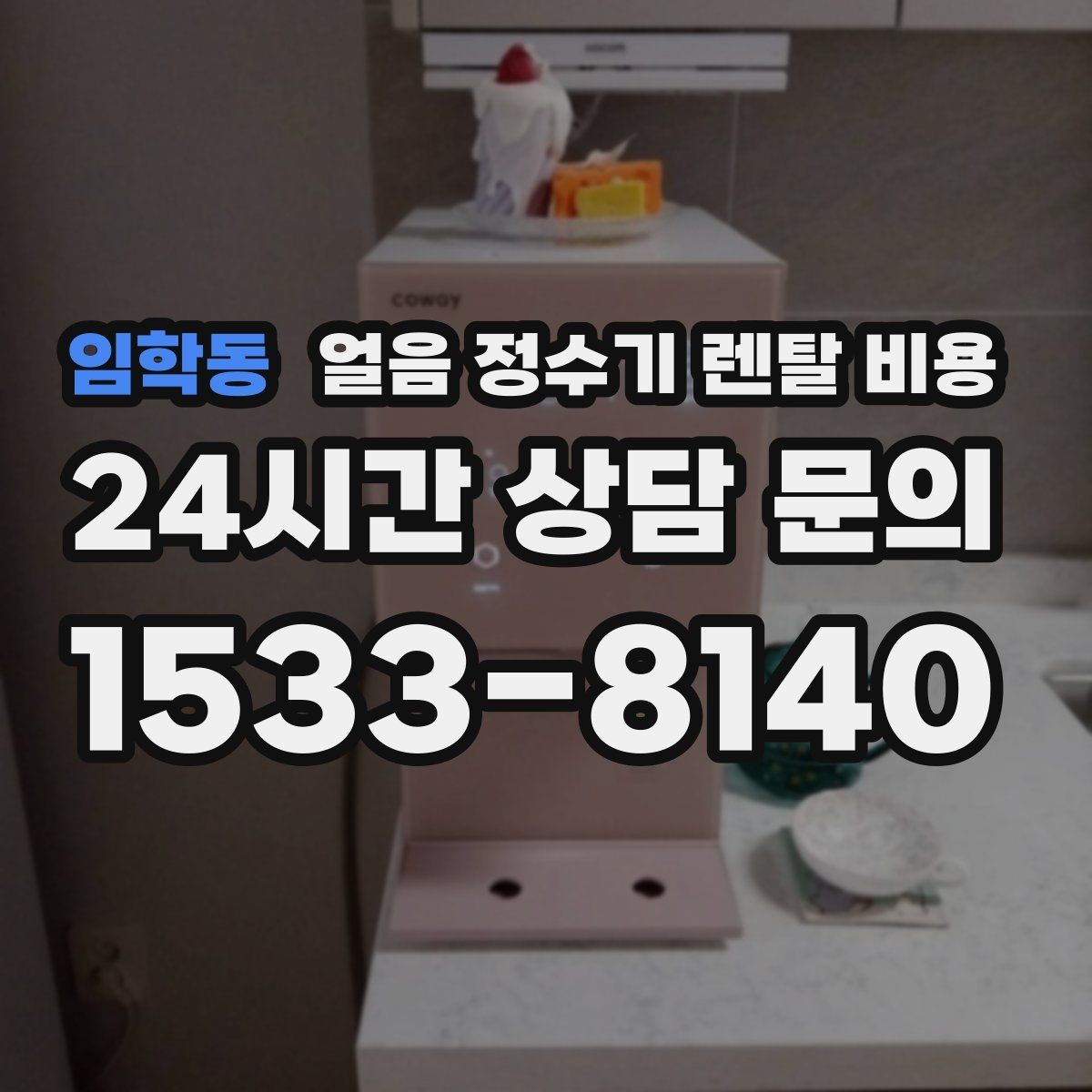 임학동 얼음 정수기 렌탈 비용 1인 가구에도 필요한지 고민될 때