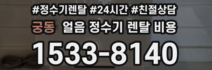 궁동 얼음 정수기 렌탈 비용