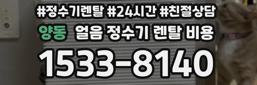 양동 얼음 정수기 렌탈 비용