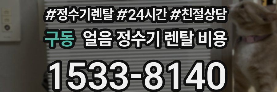 구동 얼음 정수기 렌탈 비용