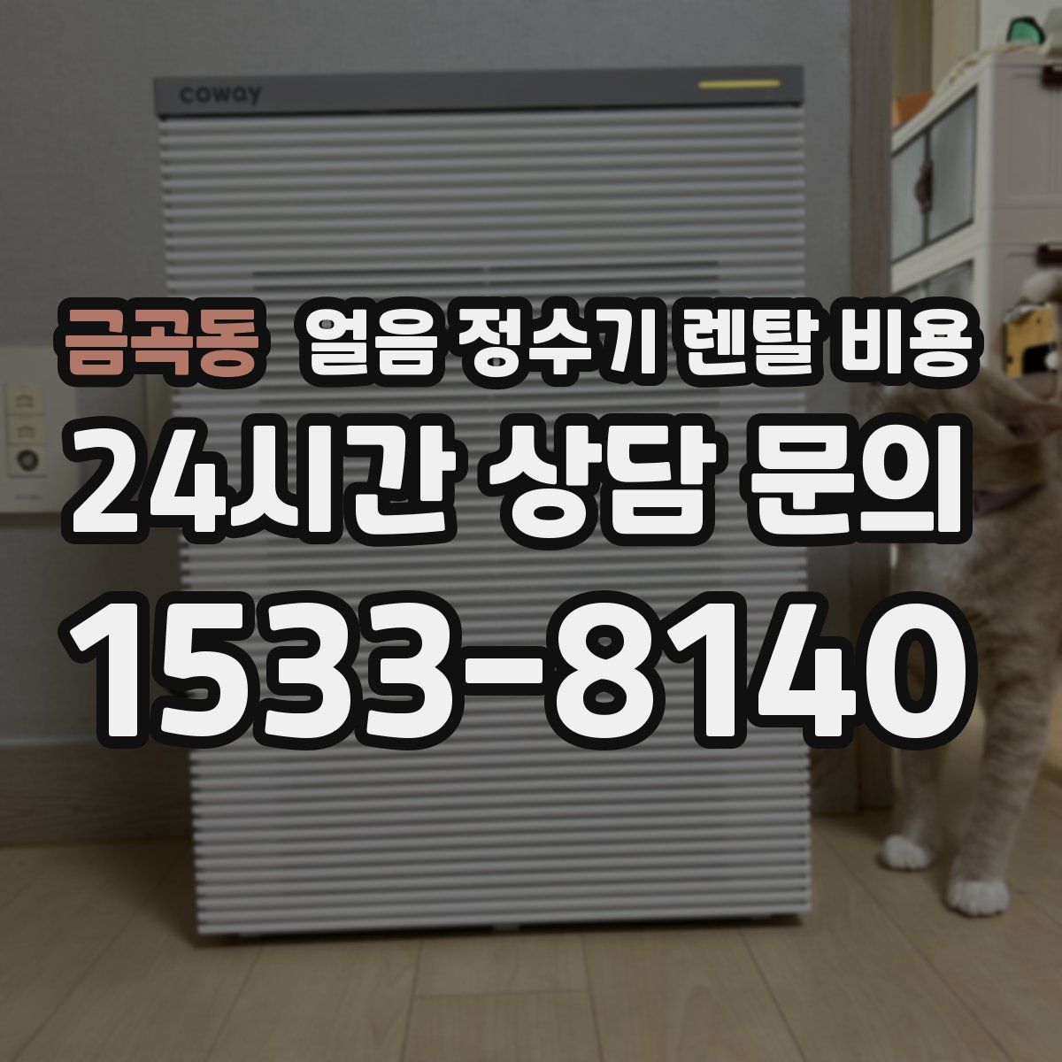 금곡동 얼음 정수기 렌탈 비용