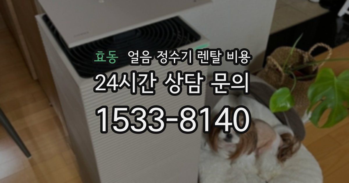 효동 얼음 정수기 렌탈 비용