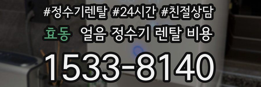 효동 얼음 정수기 렌탈 비용