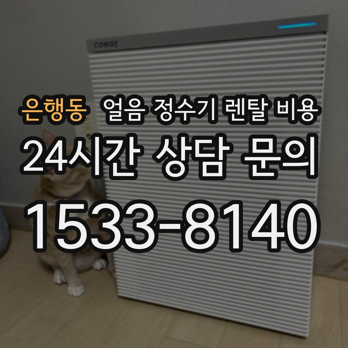 은행동 얼음 정수기 렌탈 비용