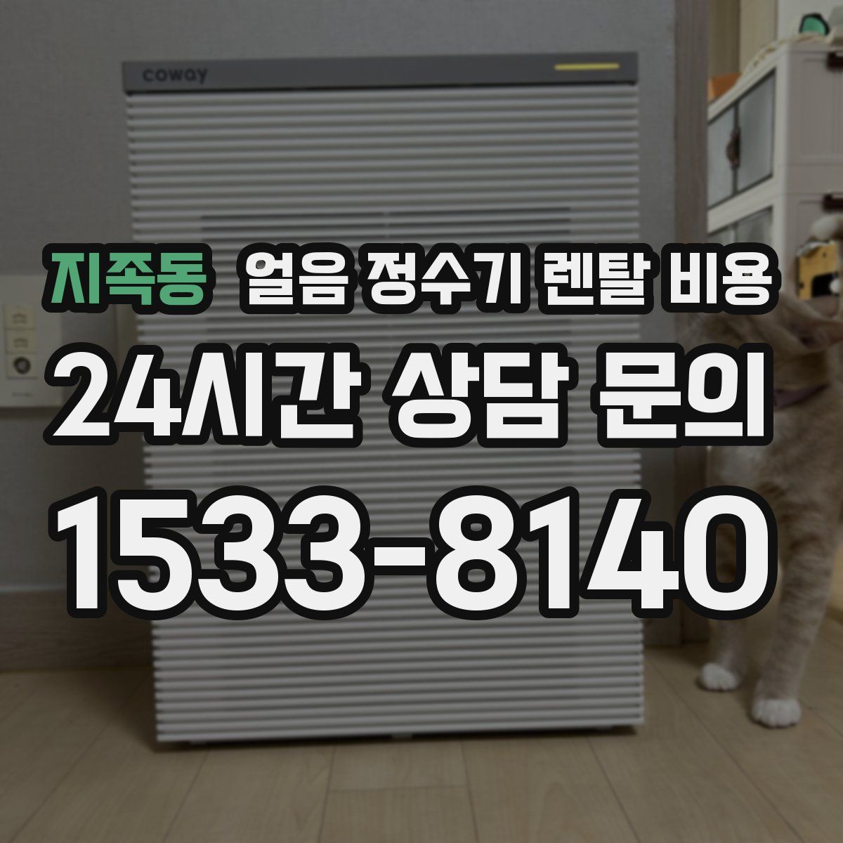 지족동 얼음 정수기 렌탈 비용