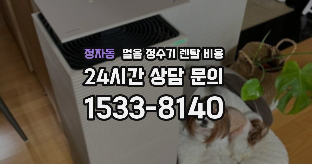 정자동 얼음 정수기 렌탈 비용