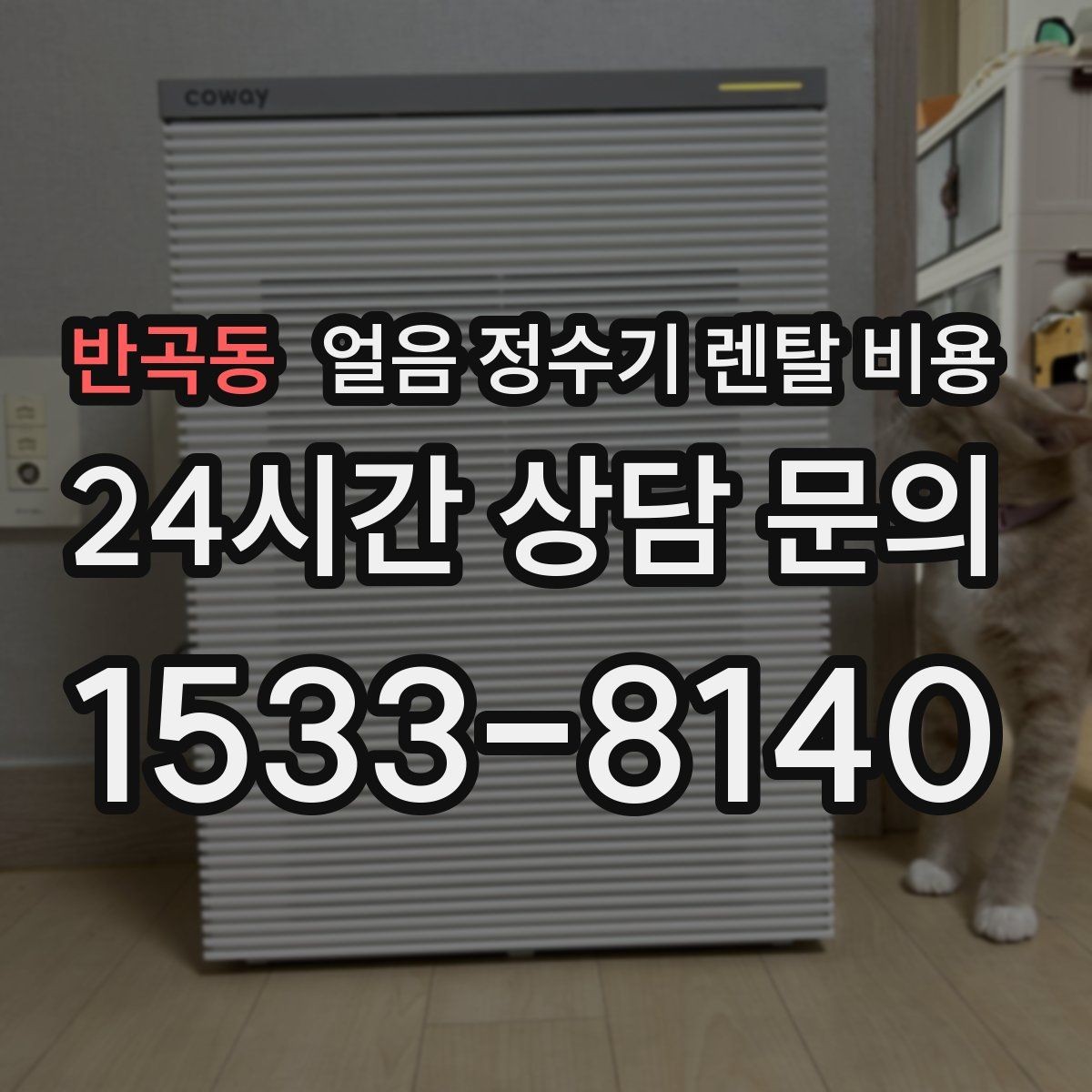 반곡동 얼음 정수기 렌탈 비용 전기료까지 고려해야 하는 이유