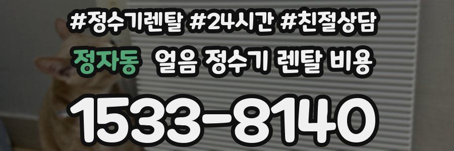 정자동 얼음 정수기 렌탈 비용