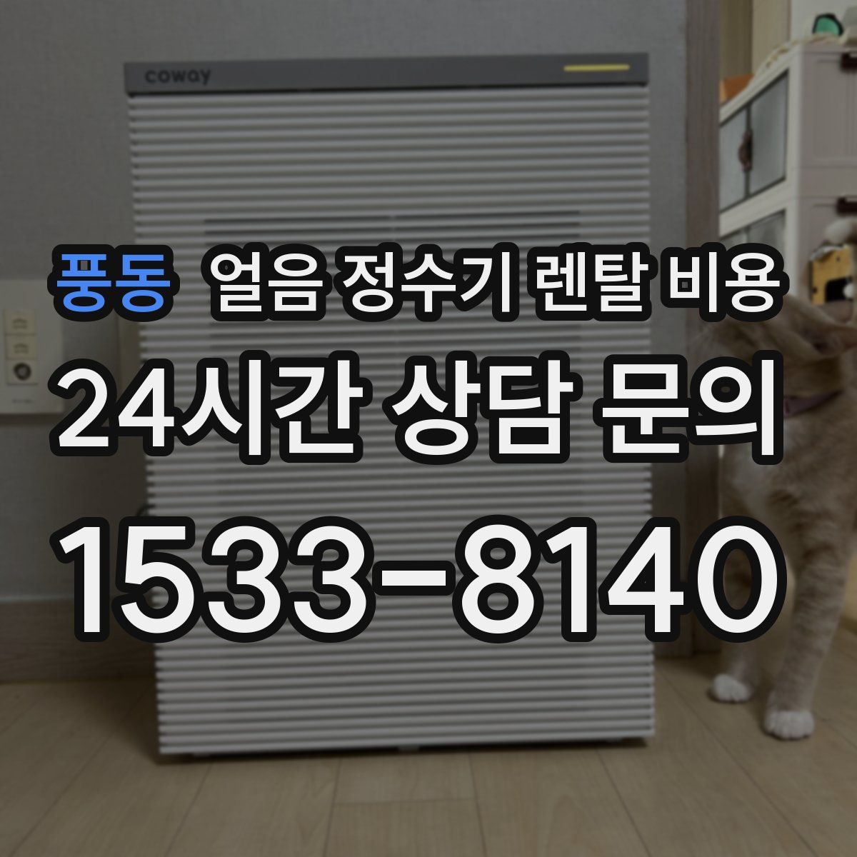 풍동 얼음 정수기 렌탈 비용