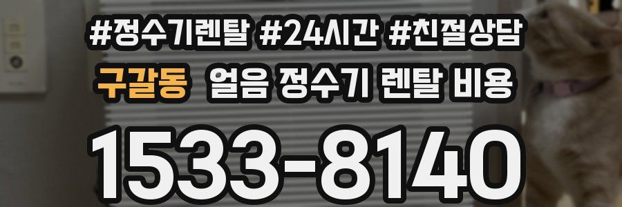 구갈동 얼음 정수기 렌탈 비용