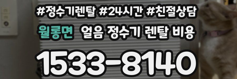 월롱면 얼음 정수기 렌탈 비용