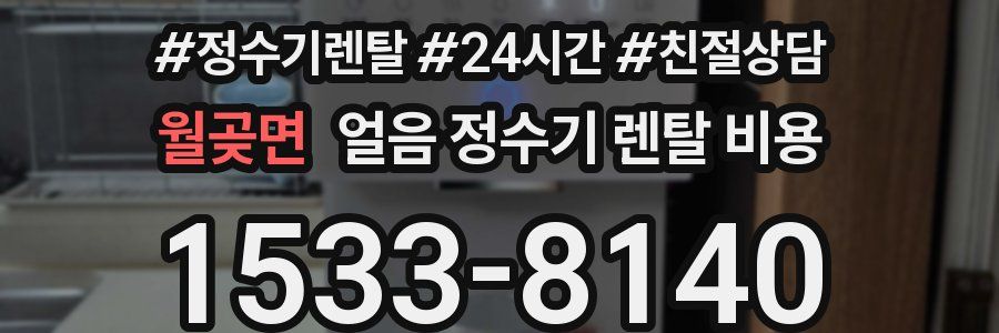 월곶면 얼음 정수기 렌탈 비용