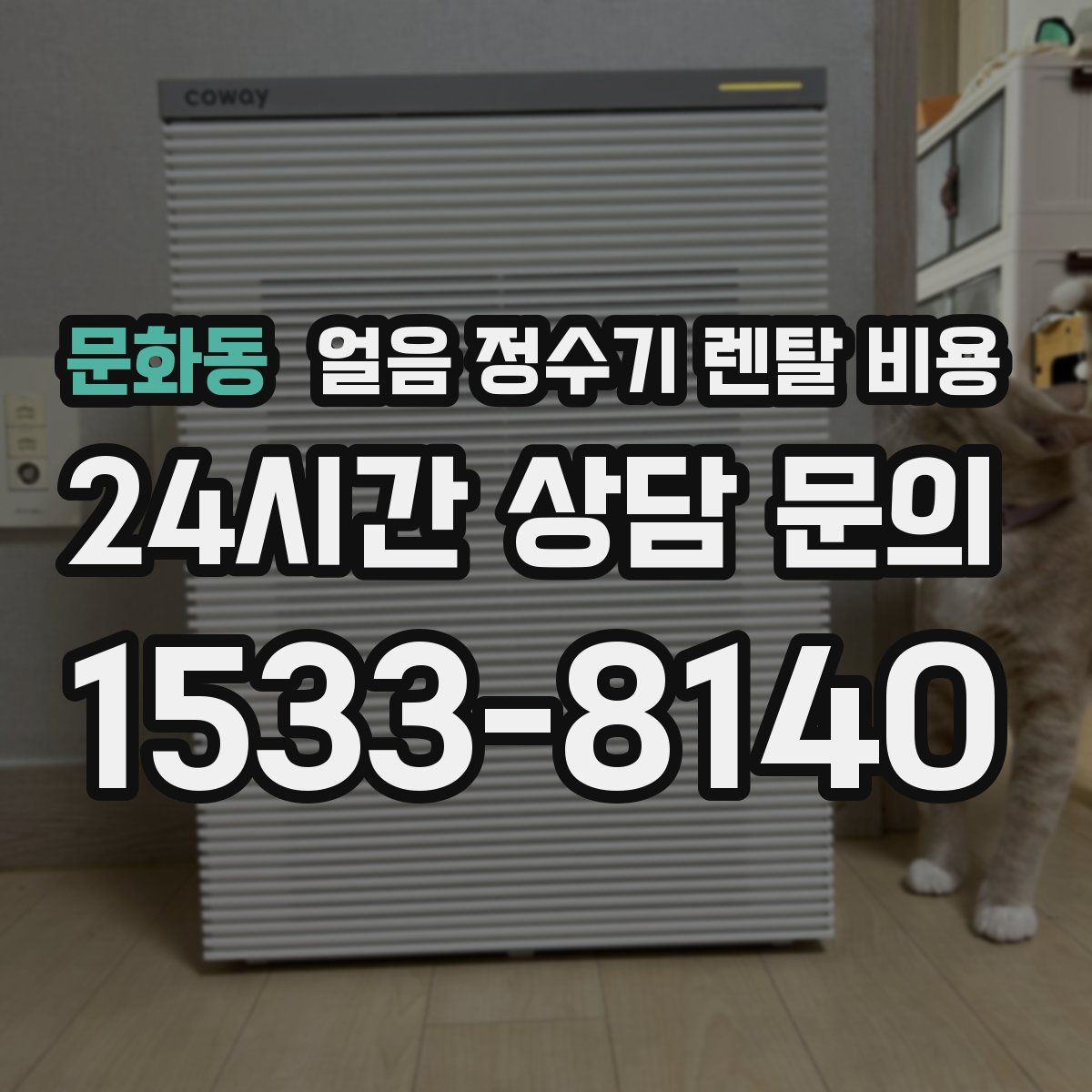 문화동 얼음 정수기 렌탈 비용