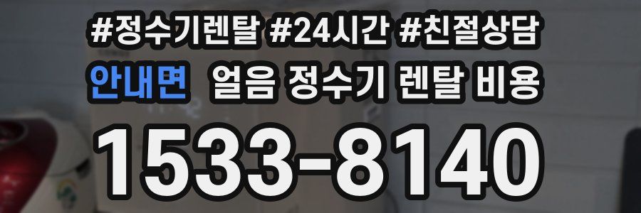 안내면 얼음 정수기 렌탈 비용