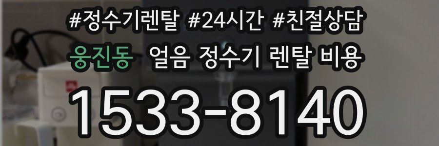 웅진동 얼음 정수기 렌탈 비용