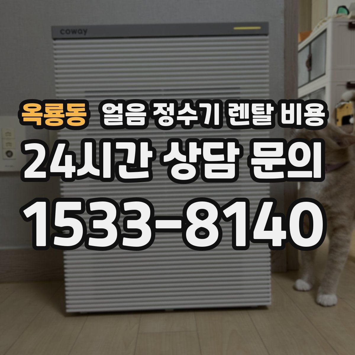 옥룡동 얼음 정수기 렌탈 비용