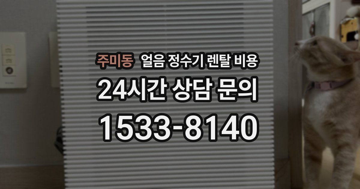 주미동 얼음 정수기 렌탈 비용