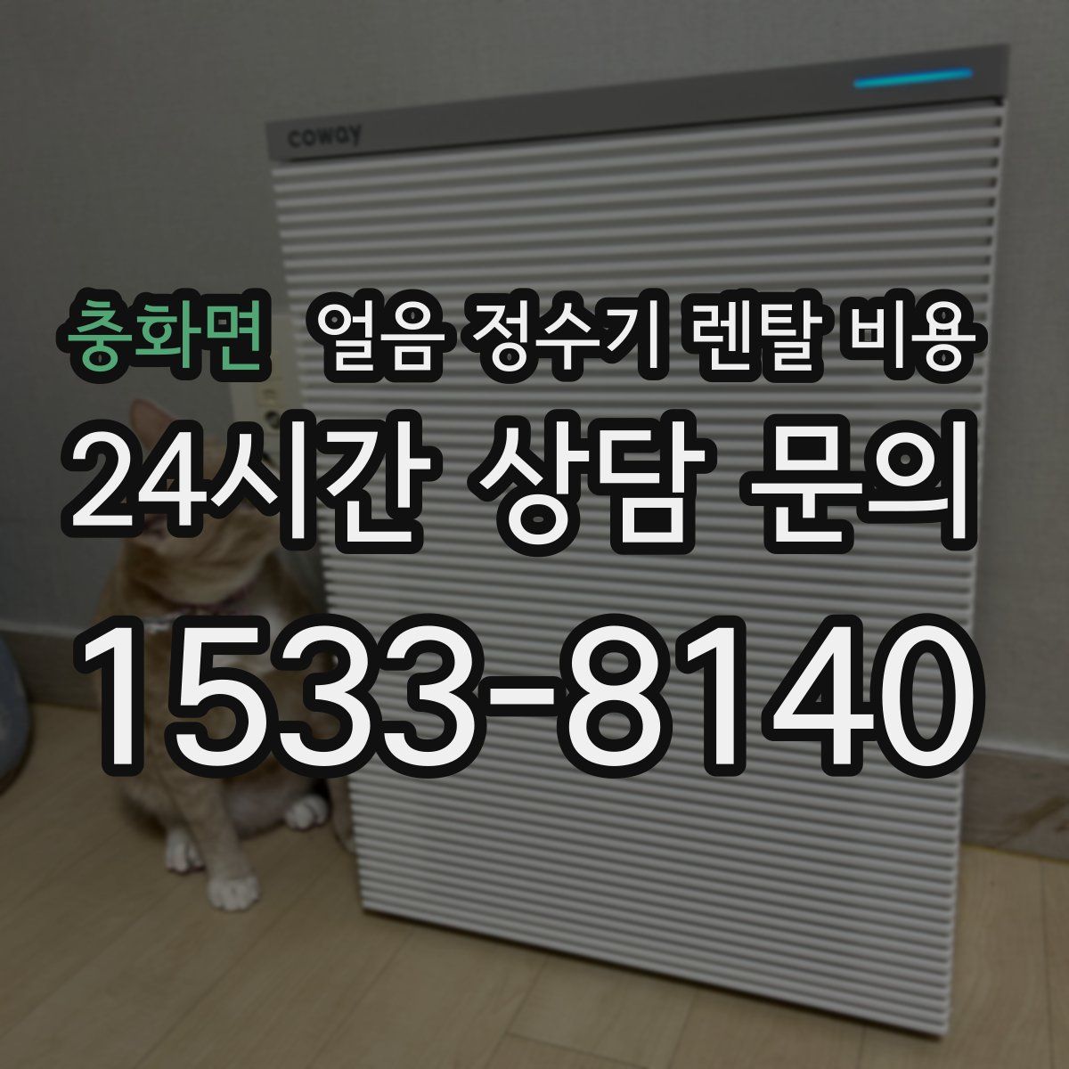 충화면 얼음 정수기 렌탈 비용