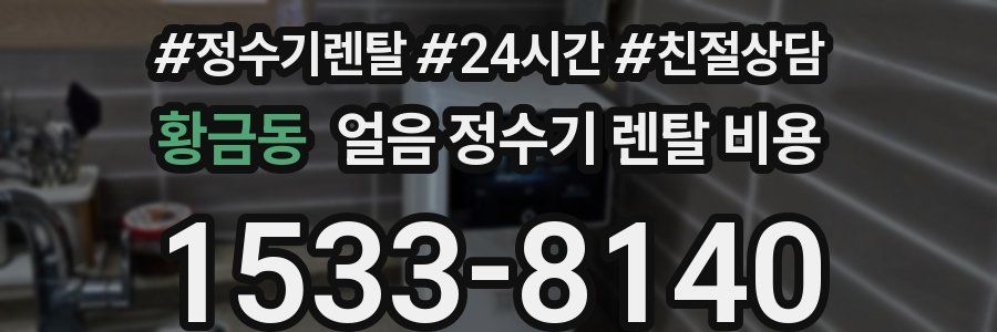 황금동 얼음 정수기 렌탈 비용