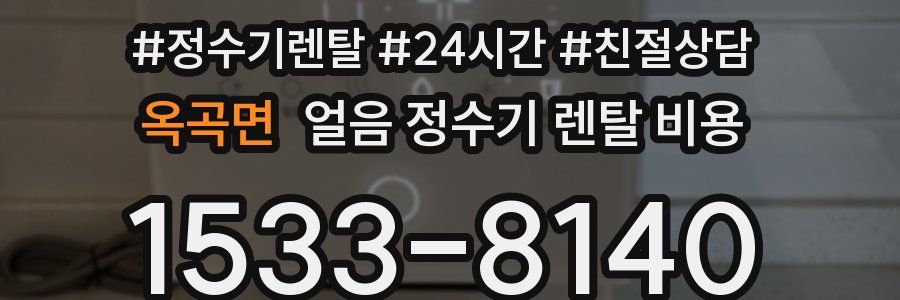 옥곡면 얼음 정수기 렌탈 비용